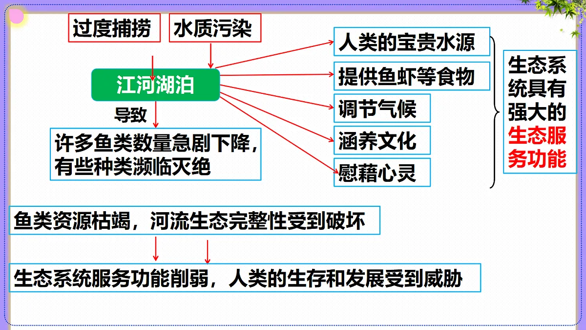 八年级上册生物（人教版）5.2.2维护生态安全 课件第6页
