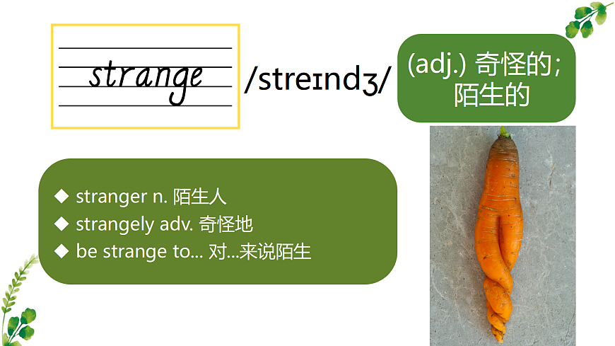 八上Unit 1 词汇精讲第5页