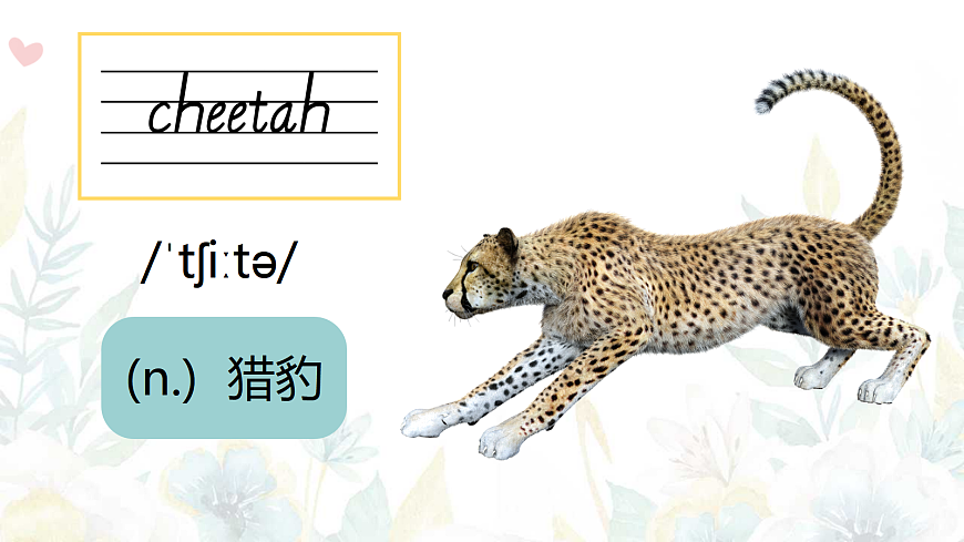 24人教版英语八年级上册Unit 4单词精讲课件第4页