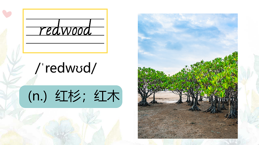 24人教版英语八年级上册Unit 4单词精讲课件第3页