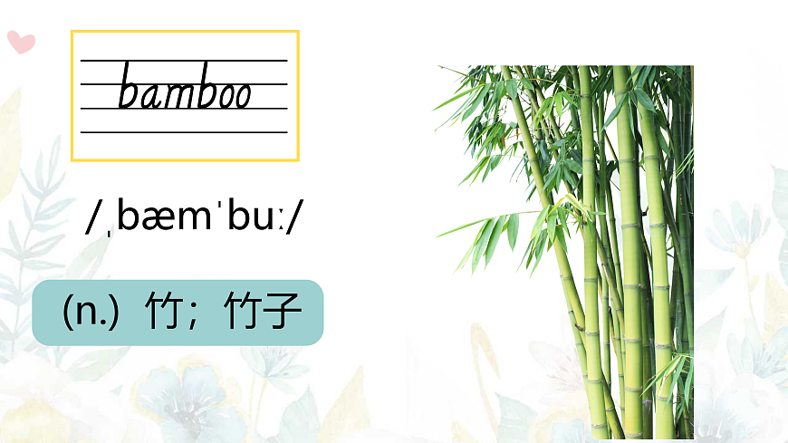 24人教版英语八年级上册Unit 4单词精讲课件第6页