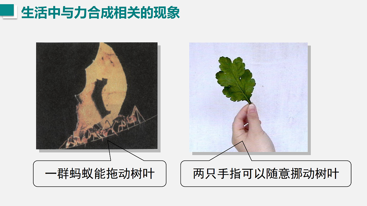17453750第6页