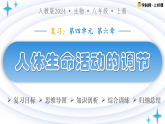 第四单元第六章+人体生命活动的调节（复习课件）生物人教版2024八年级上册