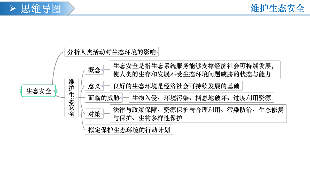 17453879第4页