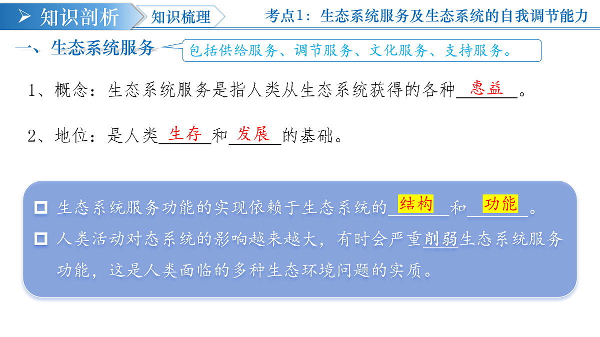 17453879第5页
