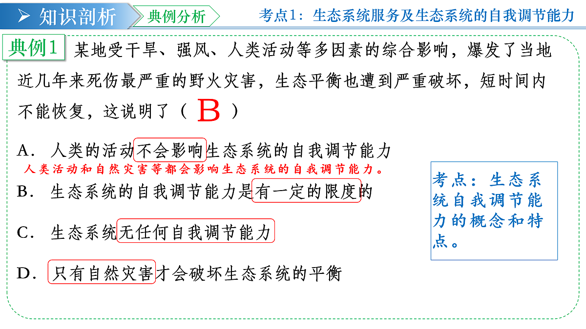17453879第7页