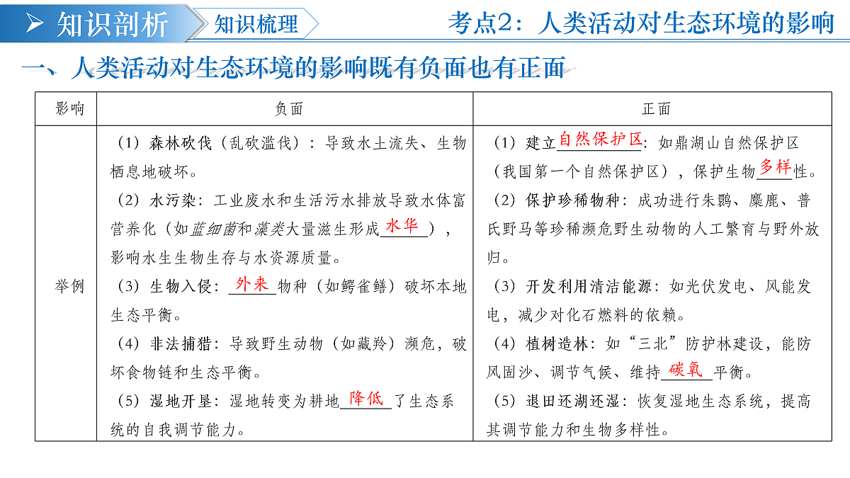 17453879第8页