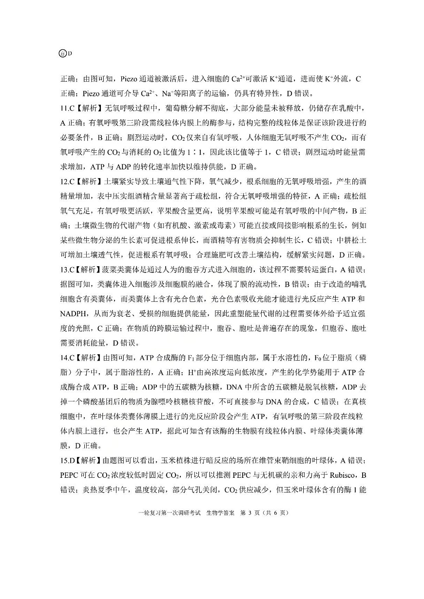 生物答案（D）第3页
