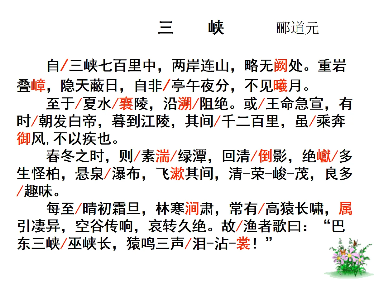 17455279第8页