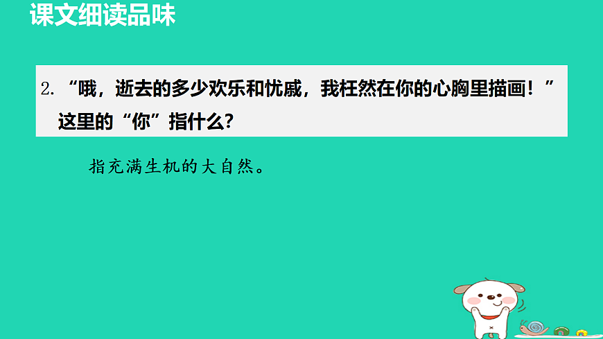 17455318第4页