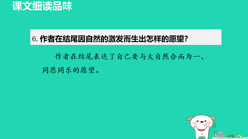 17455318第8页