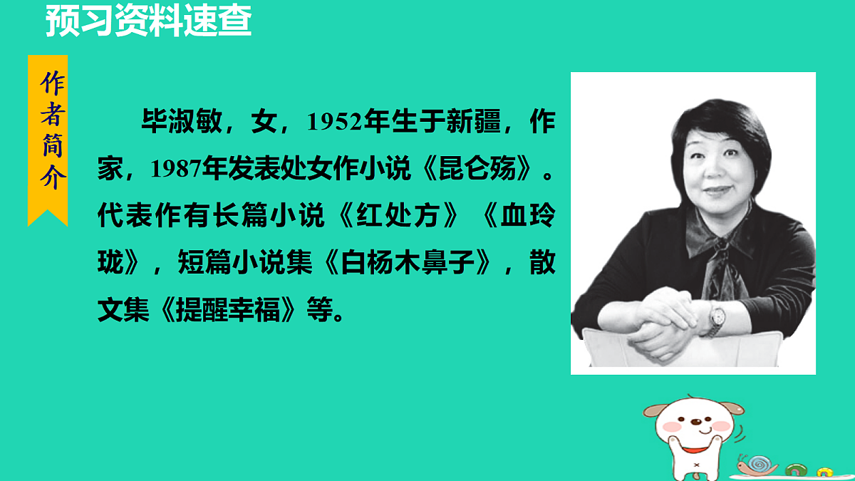 17455322第5页