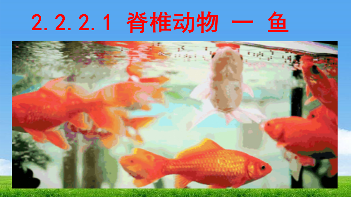 17455512第1页