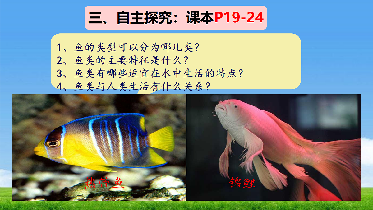17455512第4页