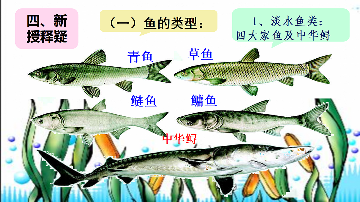 17455512第5页