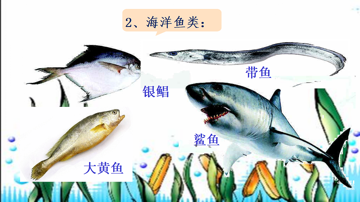 17455512第6页