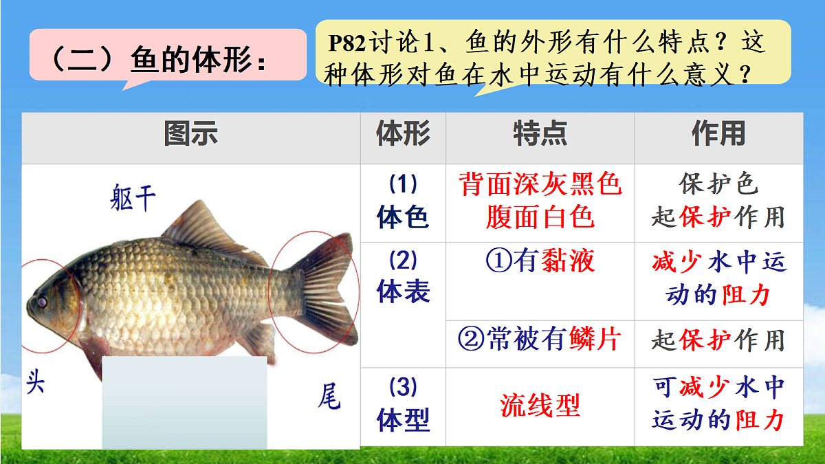 17455512第7页