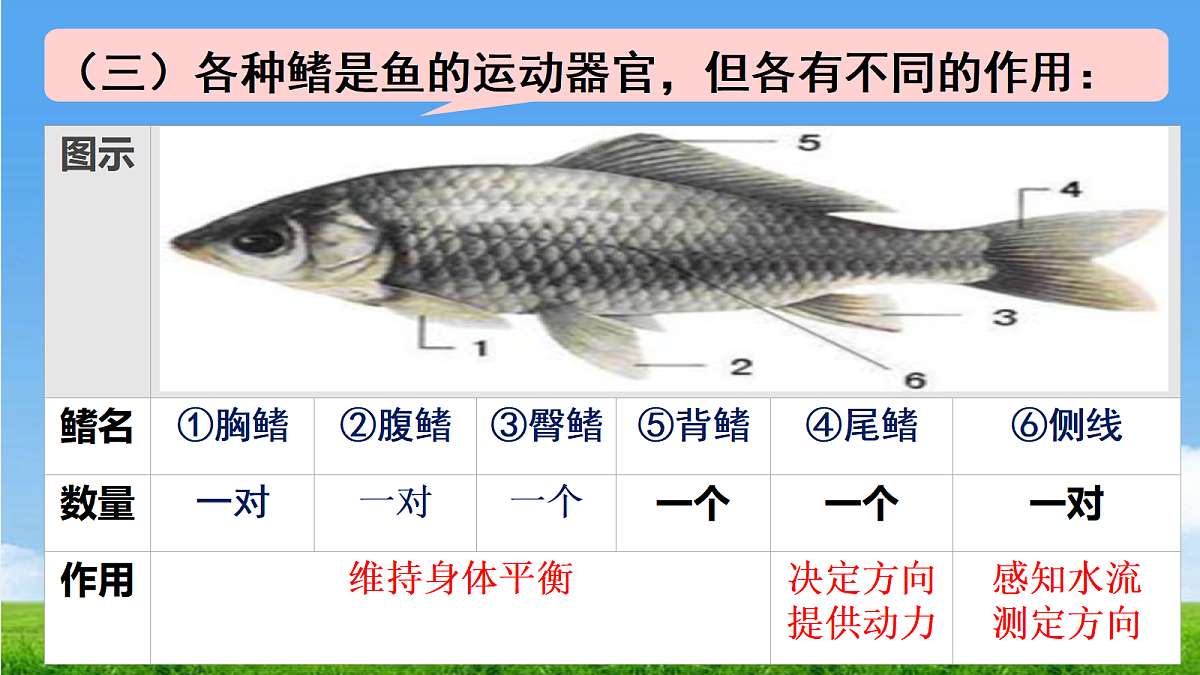 17455512第8页