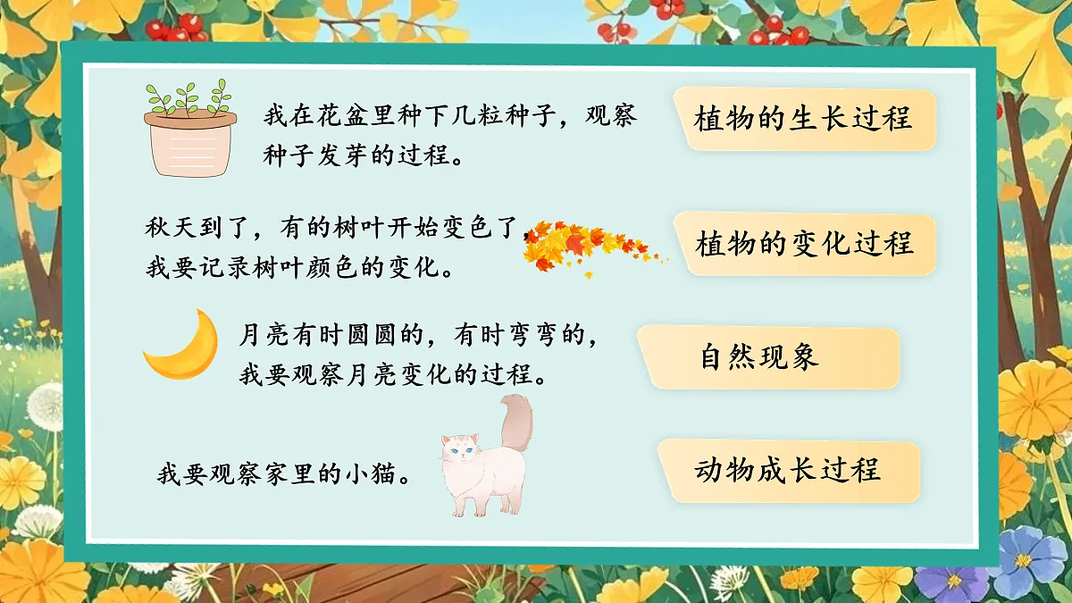 习作三：写观察日记第5页