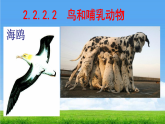2.2.2.2 鸟和哺乳动物 课件 2025-2026学年人教版生物七年级上册
