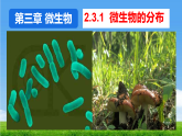 2.3.1 微生物的分布 课件 2025-2026学年人教版生物七年级上册
