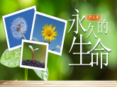 统编版语文八年级上册第17课《散文二篇——永久的生命》课件
