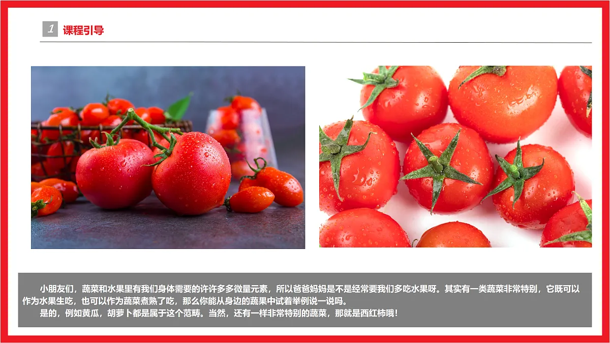 17455772第4页