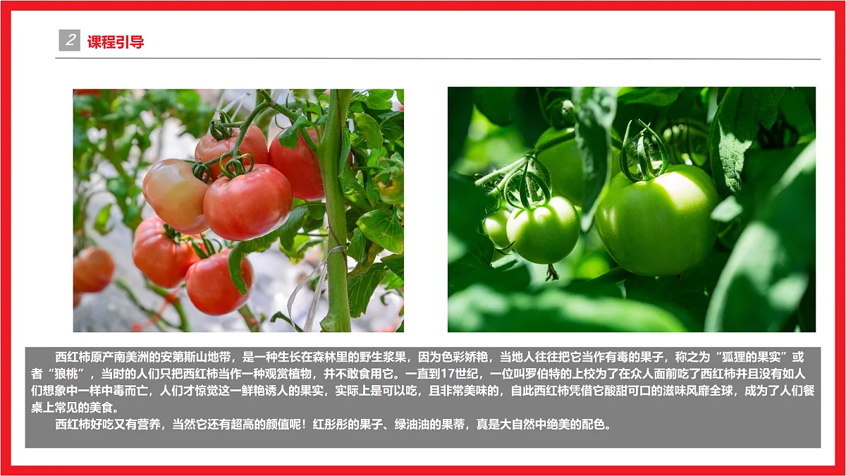 17455772第5页