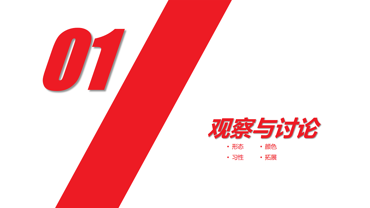 17455776第3页