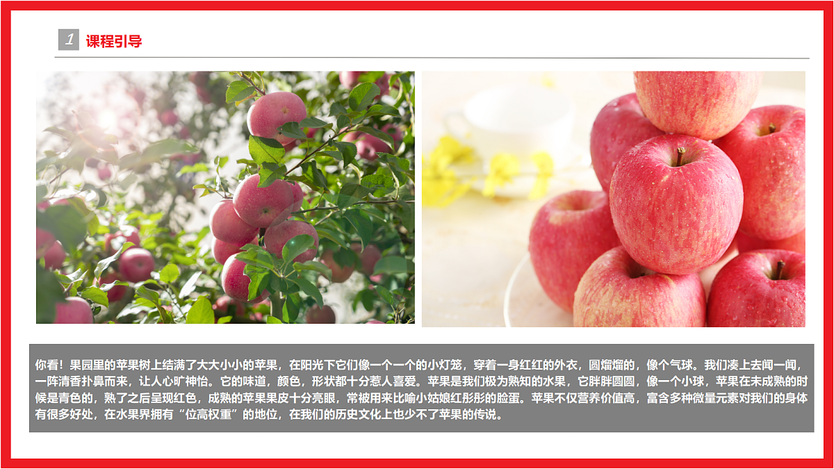 17455780第4页