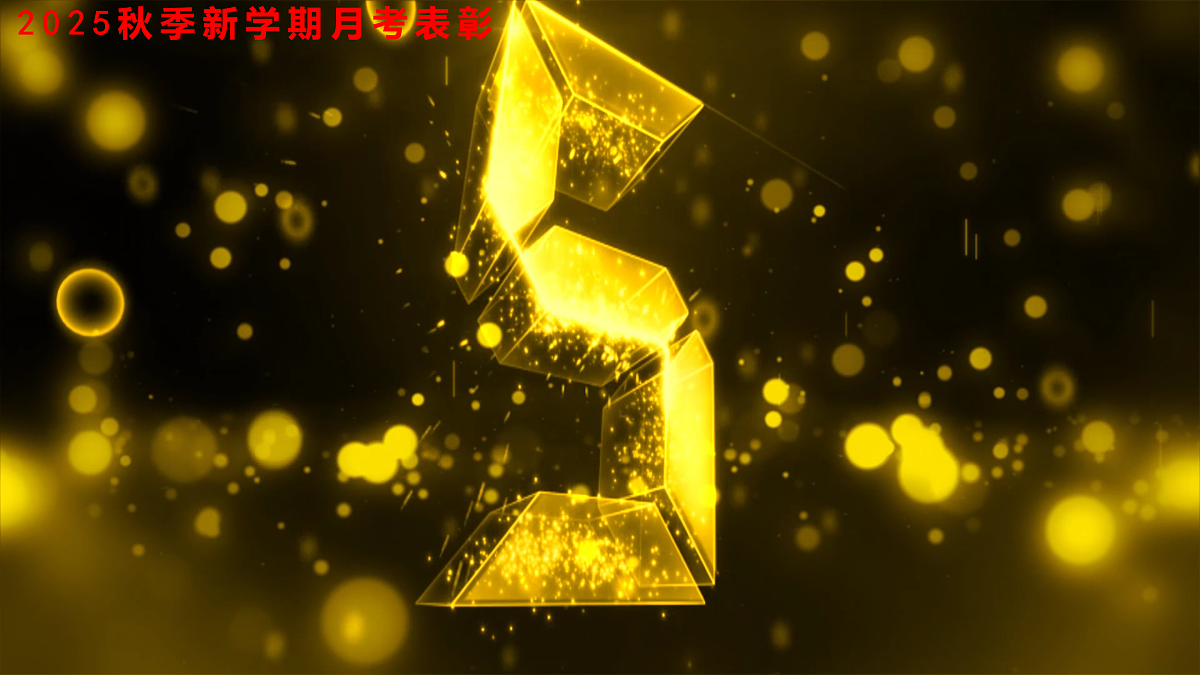 17455783第6页