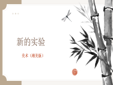 湘美版（2019） 高中美术 美术鉴赏（选修）第七课 新的实验-教学课件