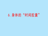 教科版二年级科学下册 2.6身体的“时间胶囊”（课件）