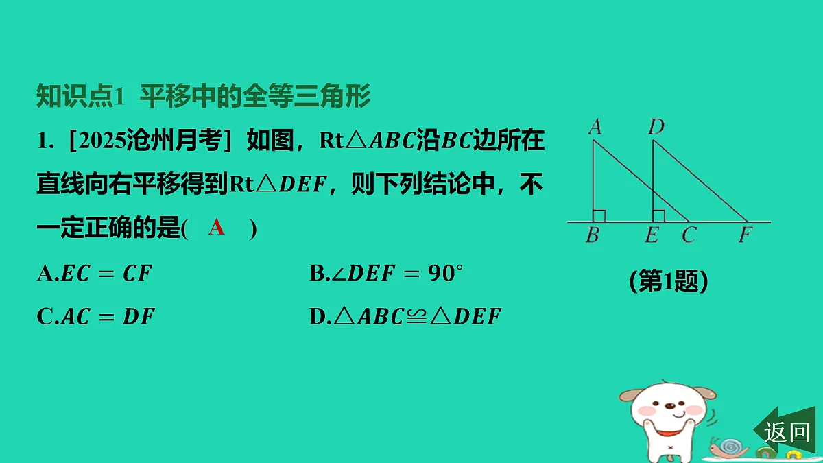 17458904第2页