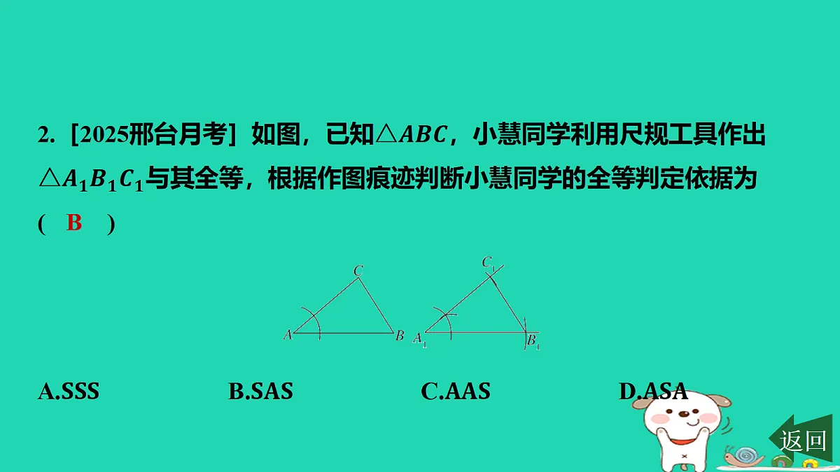 17458905第3页