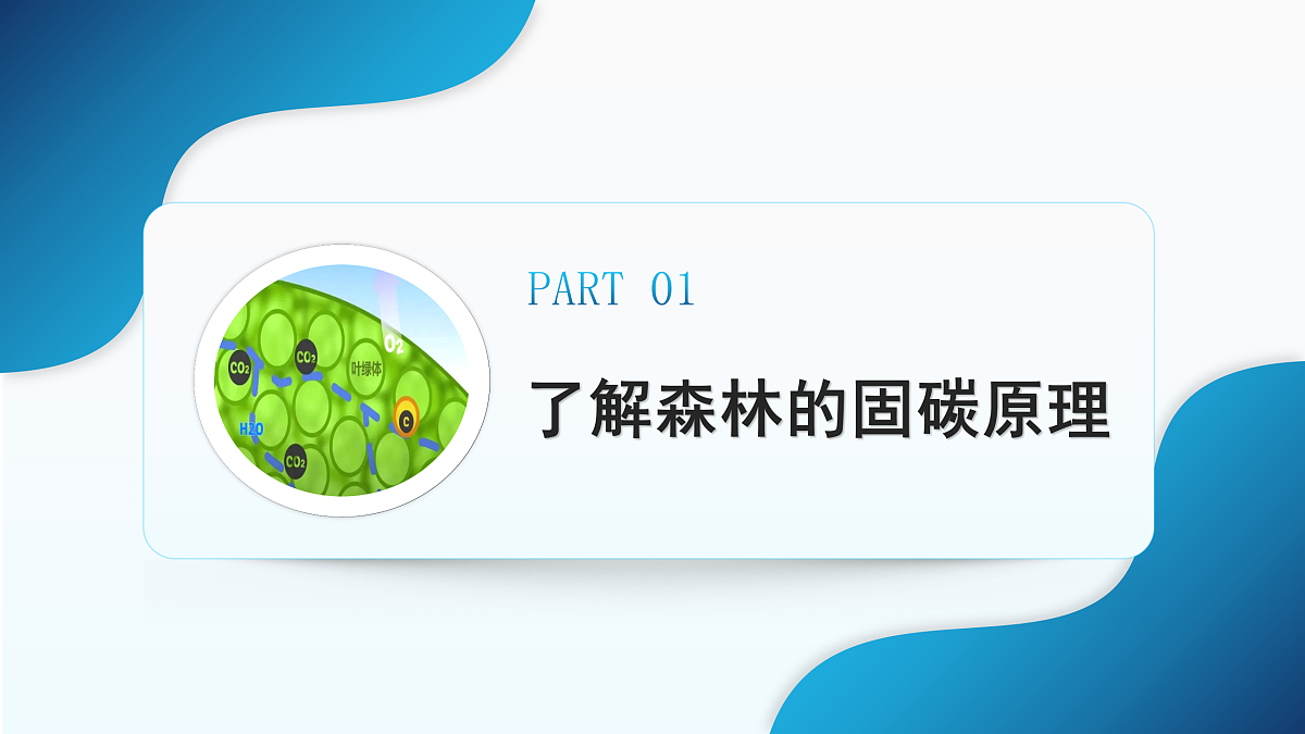 17459018第8页