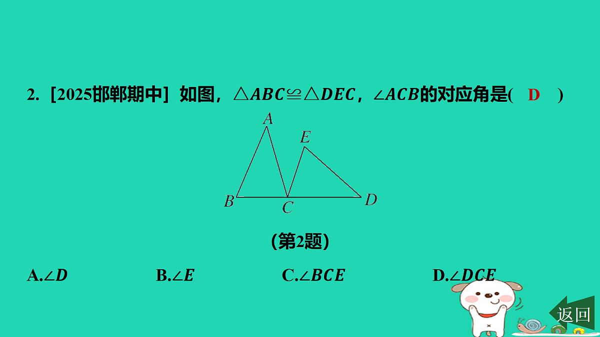 17459058第3页