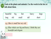 Unit 4 Amazing Plants and Animals Section A (1a-1d) （课件）人教版（2024）八年级英语上册