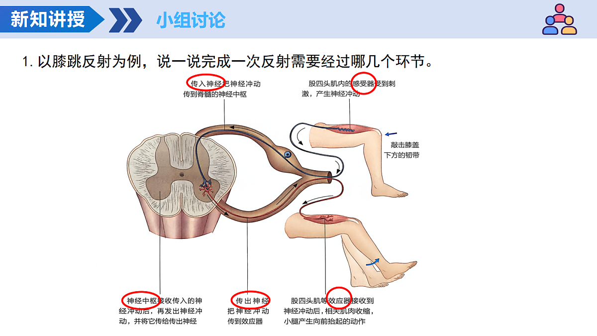 17459371第8页