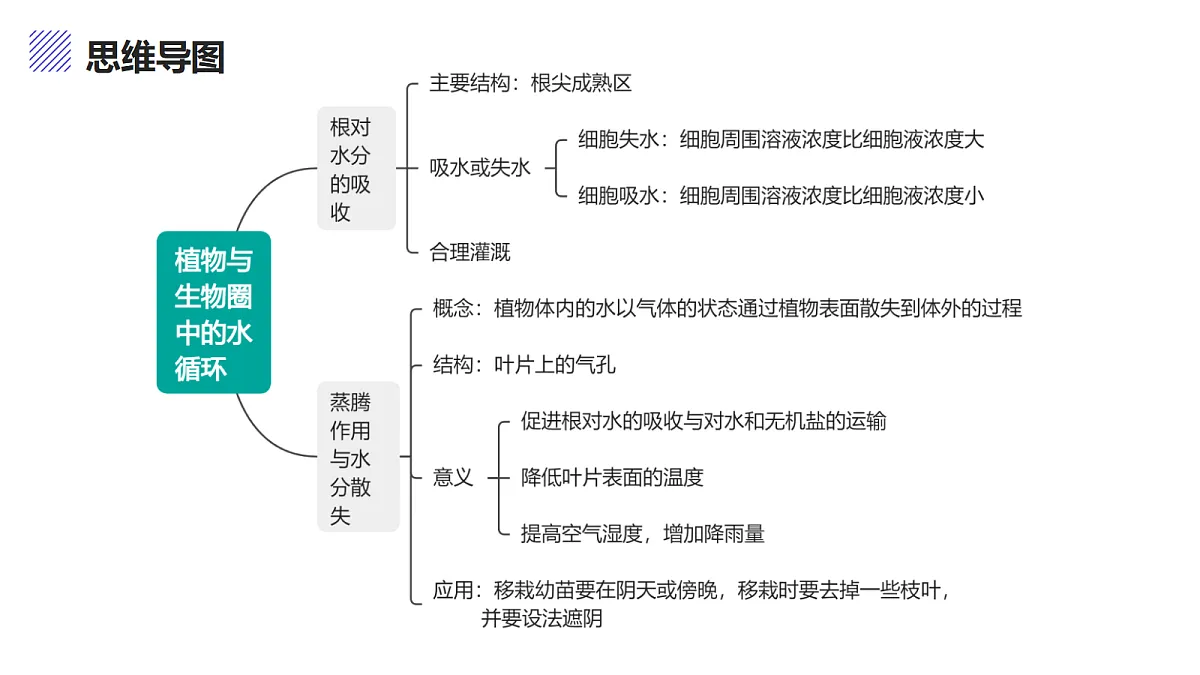 17460624第3页