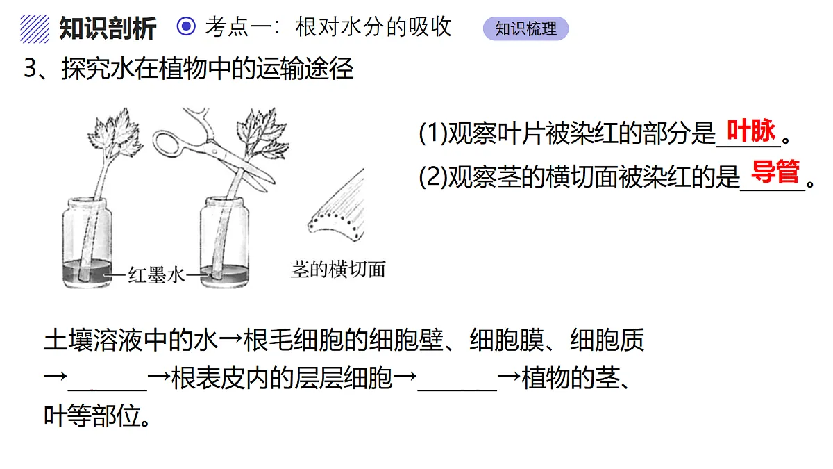 17460624第6页