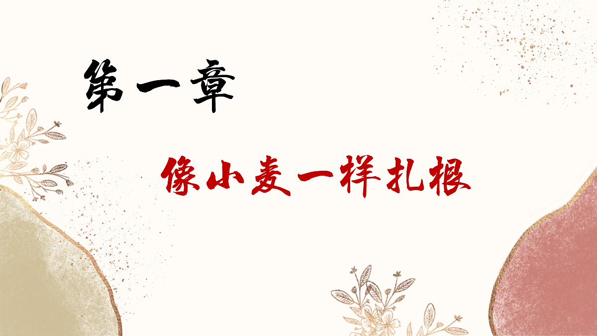 17460862第4页