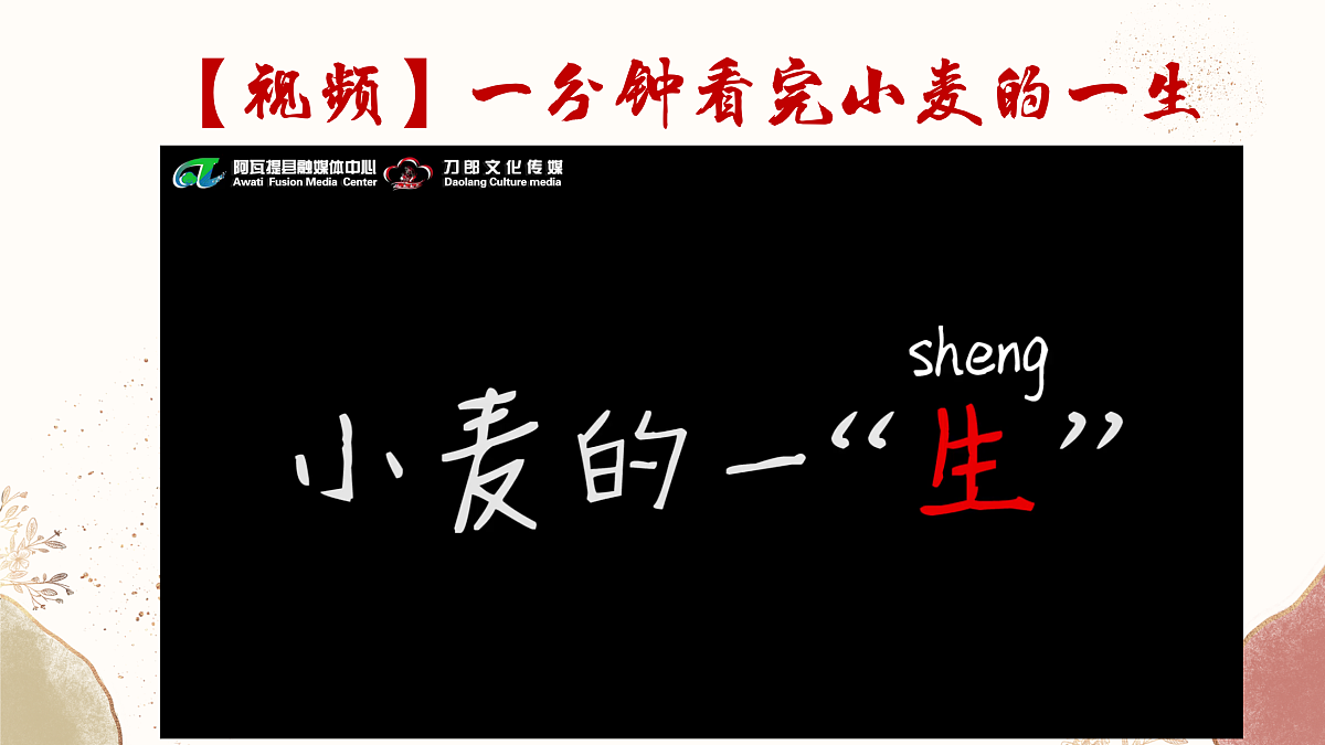 17460862第5页