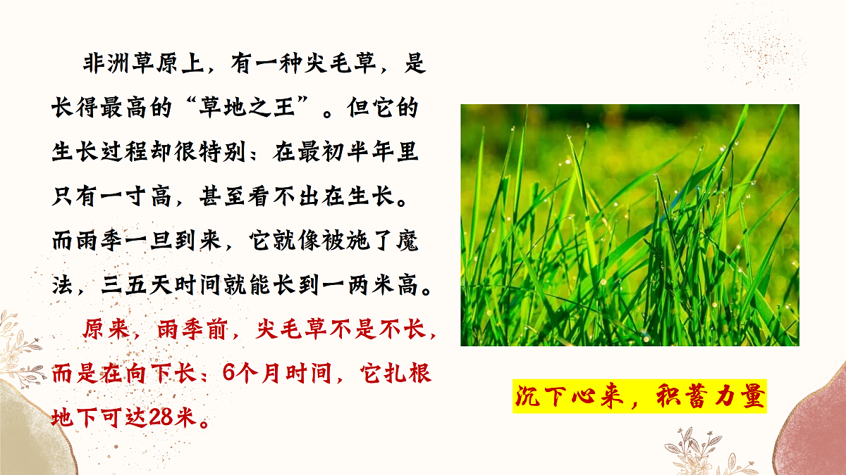 17460862第7页