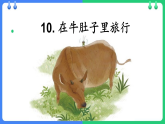 10在牛肚子里旅行课件部编版三年级上册语文
