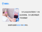 2026年春人教版七年级生物下册 4.4.1 流动的组织——血液(课件)