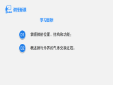 2026年春人教版七年级生物下册 4.3.2.1 肺与外界的气体交换(课件)