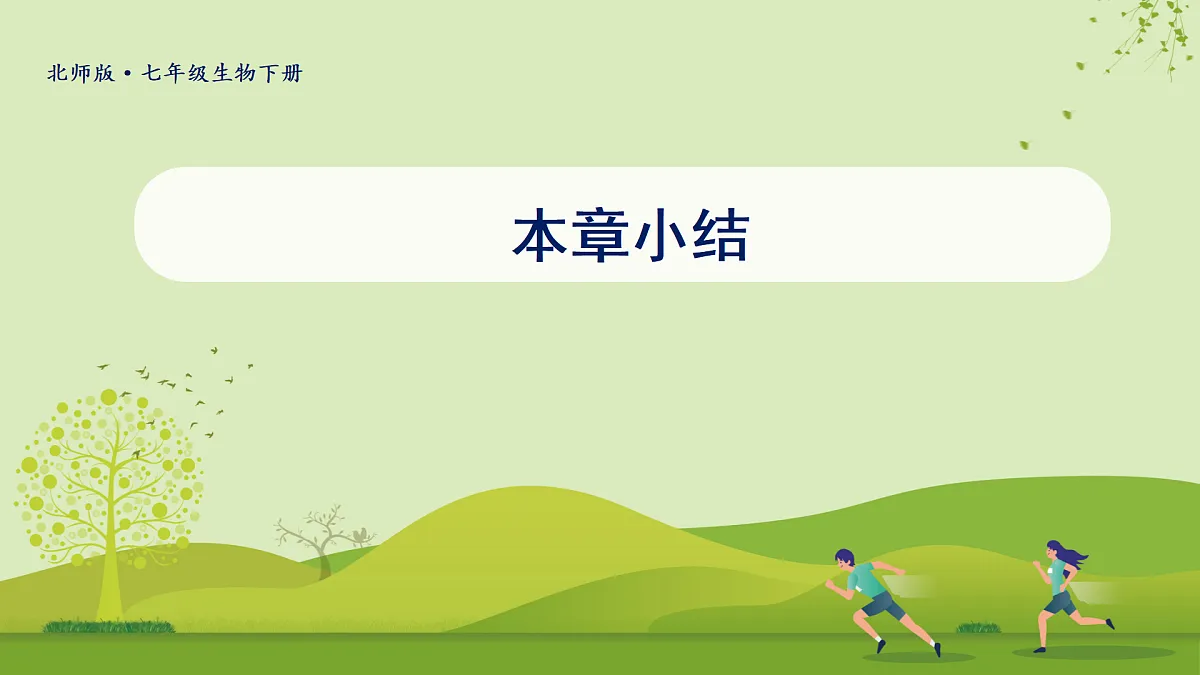 17461858第1页