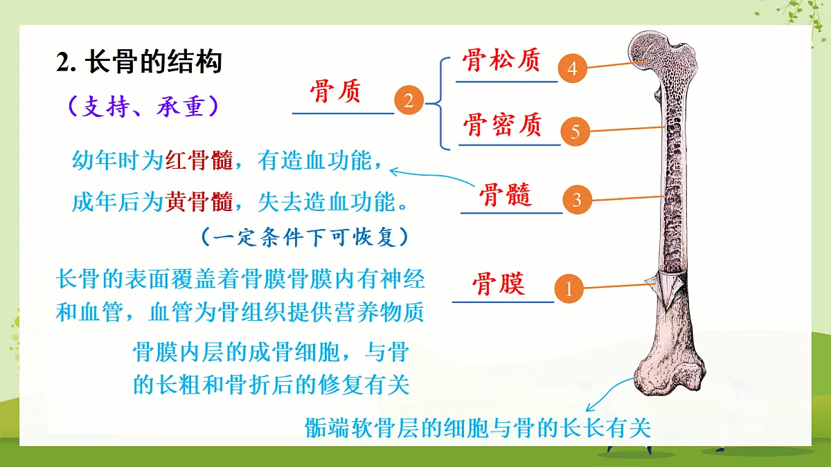 17461858第4页
