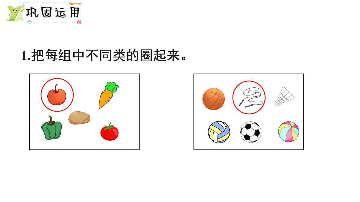 17462406第7页